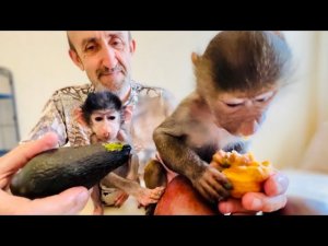 Олег Зубков принес Люсе и Степашке ШИКАРНУЮ ФРУКТОВУЮ тарелочку, и вот что от нее осталось)))