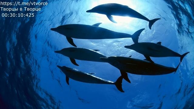 Пора жить как в сказке: Про женщину смотреть онлайн