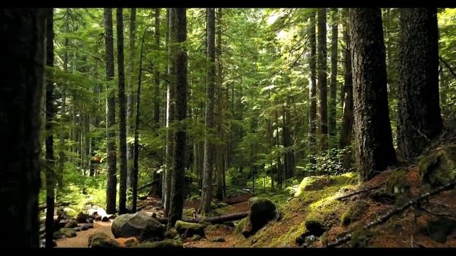 Yoga Nidra - Deep Relaxation. смотреть онлайн