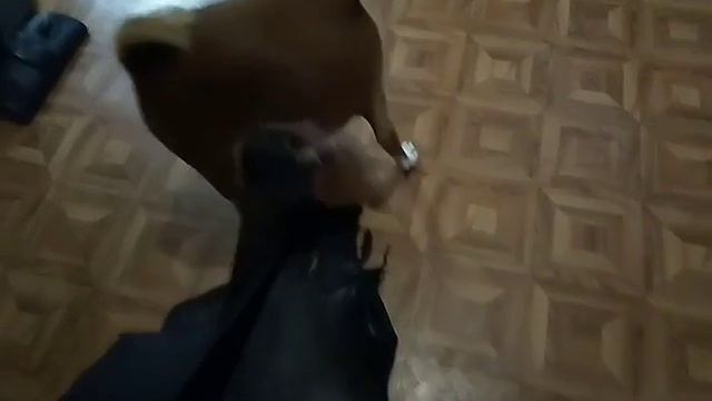 как проверить кожа или нет смотреть онлайн