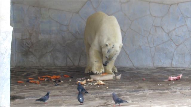 Айон кушает после плавания. 29.06.21 г. смотреть онлайн