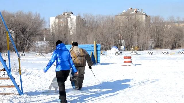 БШО ЗКС смотреть онлайн