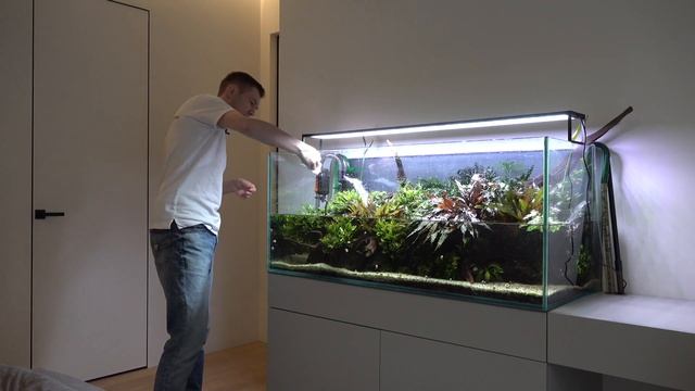 Аквариумные лайфхаки смотреть онлайн