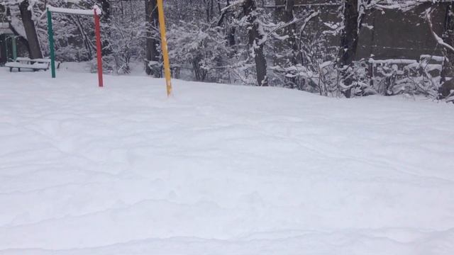 Алматы. Снежный день. 19 ноября  2016. Kazakhstan. Almaty. Snowfall. November 2016