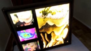 Бортничество на Полесье