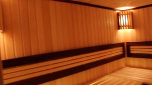 Harvia The Wall SW90