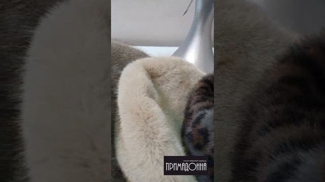 ▫️Новое поступление нереально удобных и идеальных по объему и посадке на голову беретов!