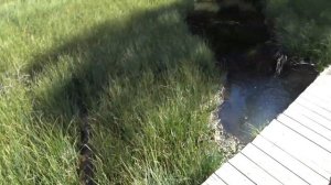 Горный Алтай на машине / Чуйский тракт / Гейзерное озеро в горном Алтае / КогДА ЖаРА