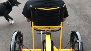 Trisled Delta Goodrun - delta recumbent trike