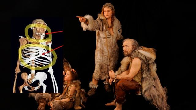 Эволюция человека и происхождение переходных форм от древних обезьян до современных людей смотреть онлайн