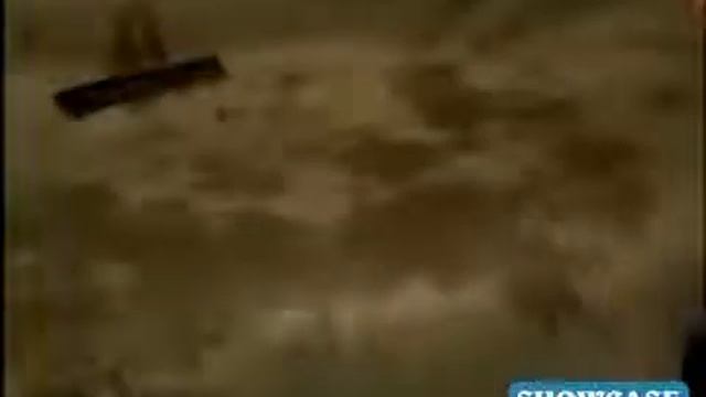 Автомобильные коврики для животных PetZoom смотреть онлайн