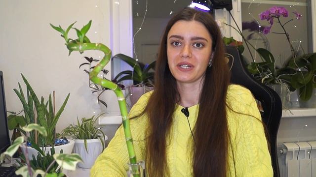 МОИ КОМНАТНЫЕ РАСТЕНИЯ. ЯНВАРЬ 2022. Обновление коллекции