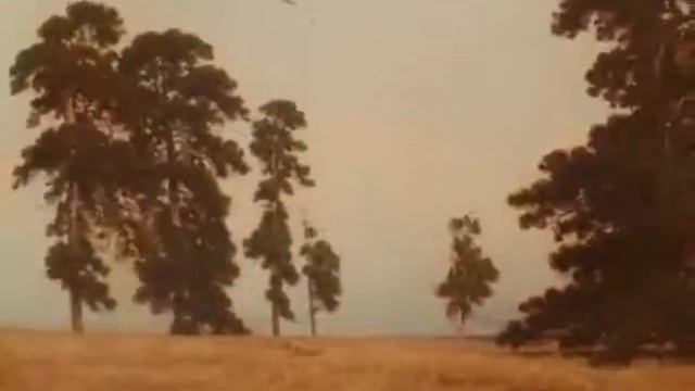 за святую Русь помолюсь   Картины русских художников