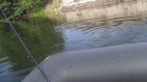 Ловля щуки на реке Оскол август 2021г.