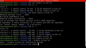 Администрирование Linux (Ubuntu). Урок 10. Автоматизация рутинных задач с помощью BASH.