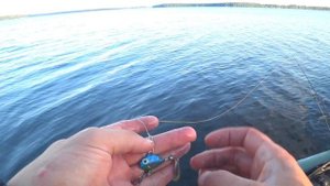 ТЕЙЛ-СПИННЕР СПАС РЫБАЛКУ