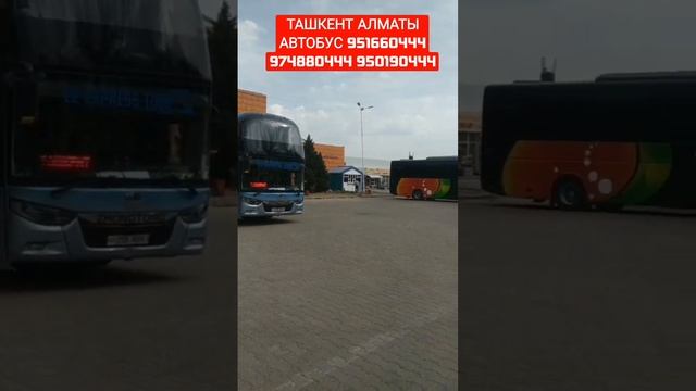 ТАШКЕНТ АЛМАТЫ АВТОБУС 951660444 974880444 950190444