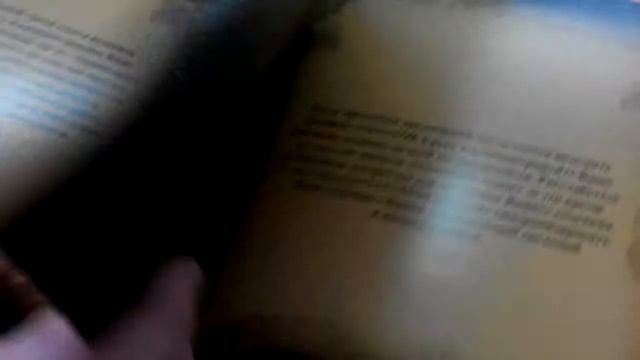 Артефакт Сальватор (Salvator)