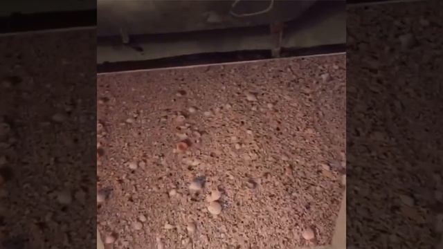 Полы 3d, Наливные полы 3д - объект волна и песок... смотреть онлайн