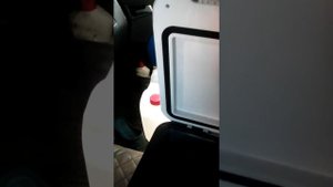 Автохолодильник вектор фрост