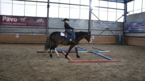 Трейл. Соревнования по вестерну, 2020