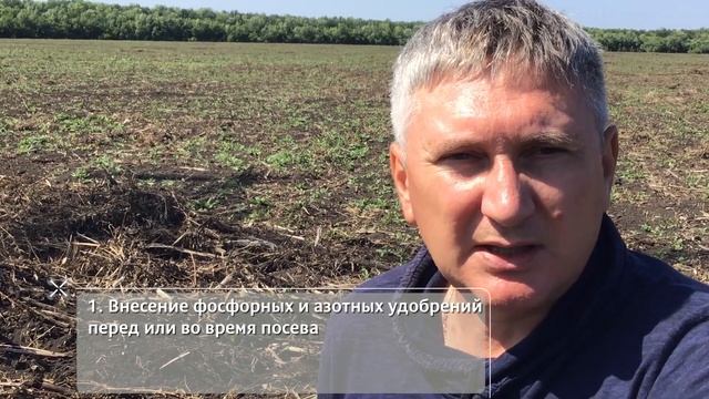 Стратегия ведения парового поля и аспекты посевной кампании смотреть онлайн