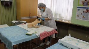 Акушерское дело