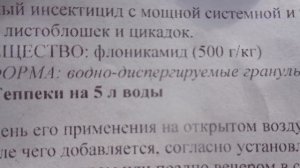 ПОРА ОБРАБАТЫВАТЬ ТОМАТЫ ОТ ВРЕДИТЕЛЕЙ! Ольга Чернова.
