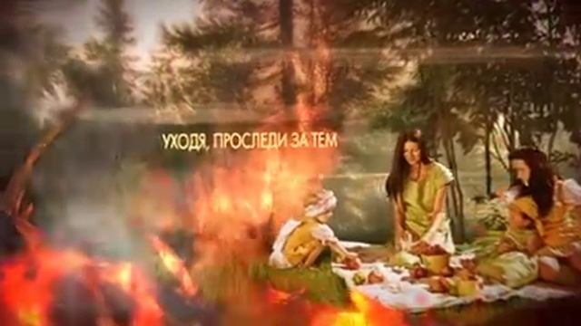 О бережном отношении к лесу