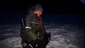 Ловля налима зимой на жерлицы