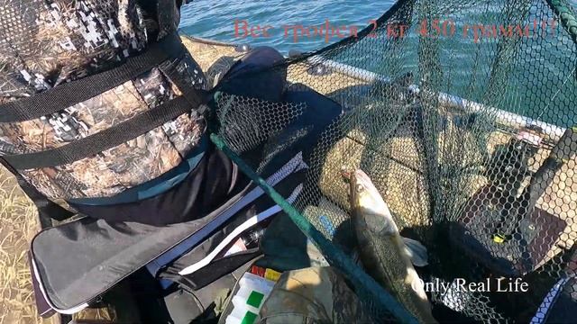 Ирикла в поисках Судака Конец июня 2022 года смотреть онлайн