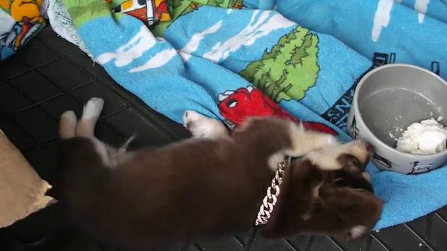 В ожидании новой семьи смотреть онлайн