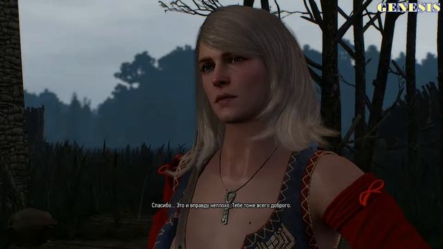 The Witcher 3 Wild Hunt Кейра Мец Плохая концовка смотреть онлайн