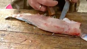 Лучшие филейные ножи из булатной стали.