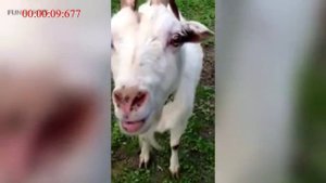 И снова разговоры со взыскателями