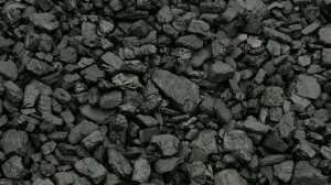 Буроугольный биогель - гумат восстановитель земель и пастбищ.