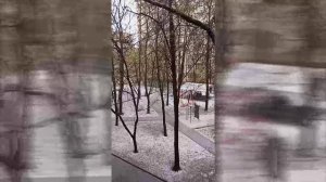 2024 снег 15апреля