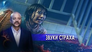 Звуки страха | Загадки человечества с Олегом Шишкиным (26.11.20).