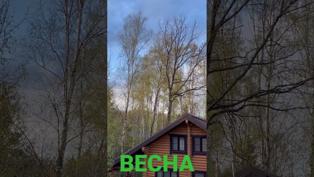 Весна #весна