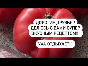 Уха отдыхает‼️Карп с помидорами и ️!