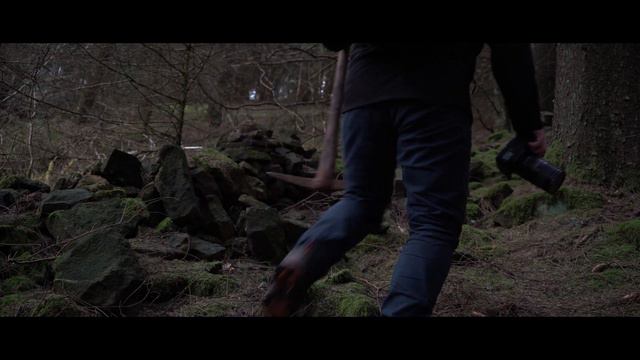 MOODY FOREST PHOTOGRAPHY (Nikon D7000 - 18-300mm Lens) смотреть онлайн