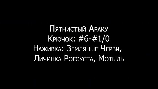 Fishing Planet - Миссии: Исследование реки Маррон (Часть 1)