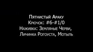 Fishing Planet - Миссии: Исследование реки Маррон (Часть 1)
