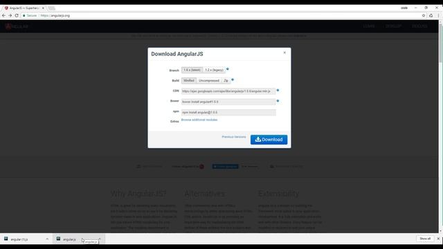 Angular JS Tutorial For Beginners #1 Setup Project