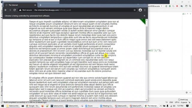 04 Selenium advanced - Javascript screenshot, Javascript page scroll