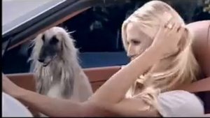 Schwarzkopf Taft Ultra Commercial (German) - Heidi Klum