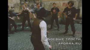 Боевая трость