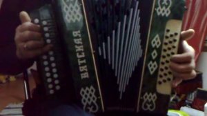 Гармонь для Ильи.