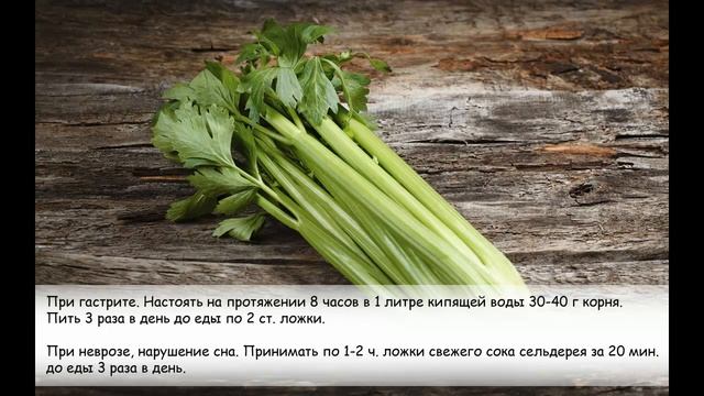 Сельдерей. Сельдерей в народной медицине. 6 рецептов.