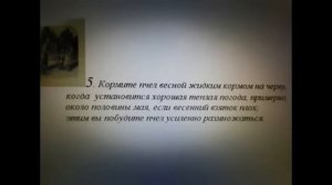 10 правил "доходного" пчеловодства 1917 год